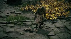 Gostoc stomping Godrick Meme Template