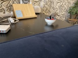 Fat birb Meme Template