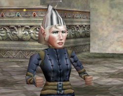 Tinfoil hat gnome Meme Template