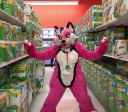 PinkGeminiHusky in an aisle of Bounty paper towel thingys Meme Template
