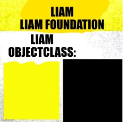 Liam Empty label Meme Template