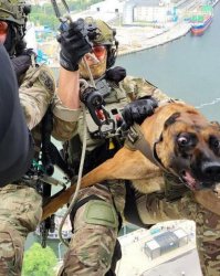 Operator dog Meme Template