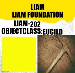 Liam-202 Meme Template