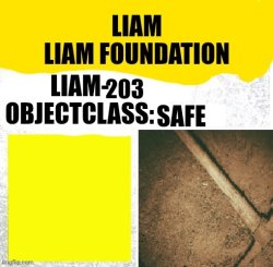 Liam-203 Meme Template