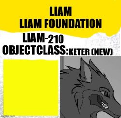 Liam-210 Meme Template