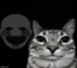 puppet behind cat Meme Template