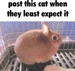 Repost Meme Template