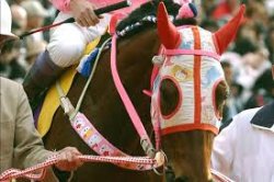 hello kitty mask horse Meme Template