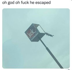 Jack in the Box Escaped Meme Template