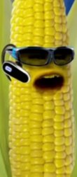 Angry corn cob Meme Template