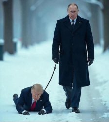 Trump on putins leash Meme Template