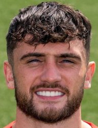 You've been pecked by the parrot Meme Template