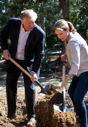 Trump woman digging a hole law of holes Meme Template