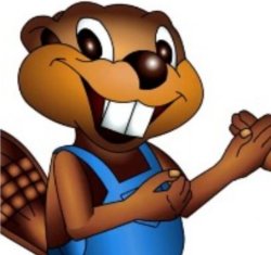 Billy beaver (Betty's brother) Meme Template