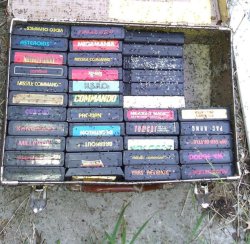 game ants Meme Template