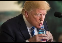 Trump water Meme Template
