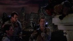 Seeding Meme Template