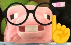 Nerd pig Meme Template