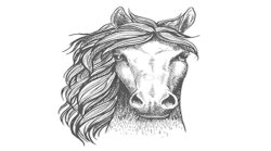 Horse how hungry Meme Template