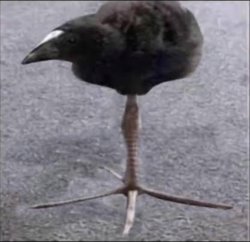 DAMN!! Meme Template