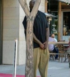 smooth subtle hiding Meme Template