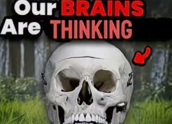 Our brains are thinking Meme Template