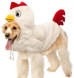 I see your blouend colors 1987 Meme Template