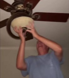 Dad crashout Meme Template