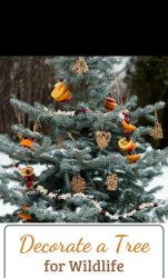 Wildlife Christmas tree Meme Template