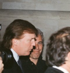 Epstein Trump Meme Template