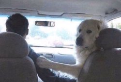 Chrisjoines1 Meme Template