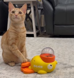 Penny doing science Meme Template