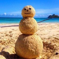 Beach Snowman Meme Template