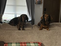 Happy birthday mom Meme Template