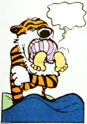 Blank Calvin and Hobbes template Meme Template