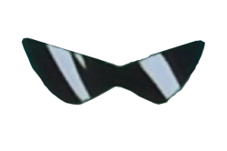 Squirtle Gang Glasses Meme Template