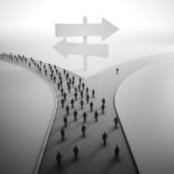 Walking one Way Meme Template