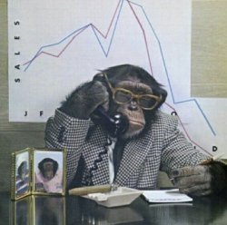 Ape calling broker Meme Template