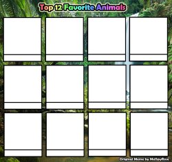 top 12 favorite animals Meme Template