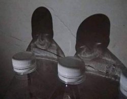 Water bottle shadows at night Meme Template