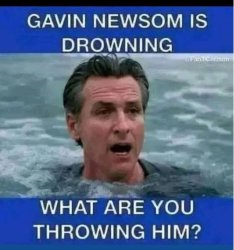 Gavin Newsom is drowning Meme Template