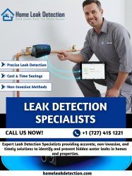 Leak Detection Specialists Meme Template