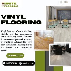 Vinyl Flooring Meme Template