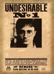 Harry Potter - Undesirable Meme Template