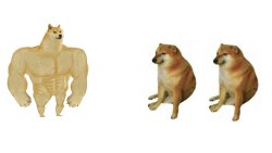Buff doge and two cheems Meme Template