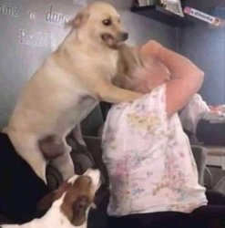 Angry dog biting hair Meme Template