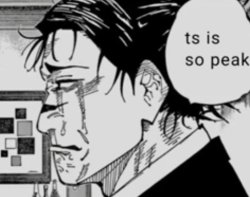 Ts is so peak Meme Template