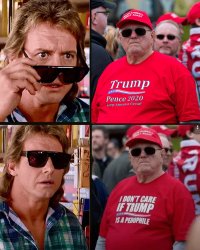 MAGA pedo supporter vs. rational people Meme Template