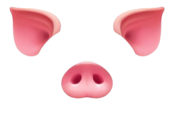 Snout and Ears Meme Template