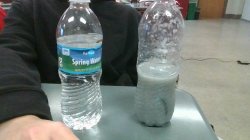 slug and water Meme Template